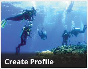 Create Profile