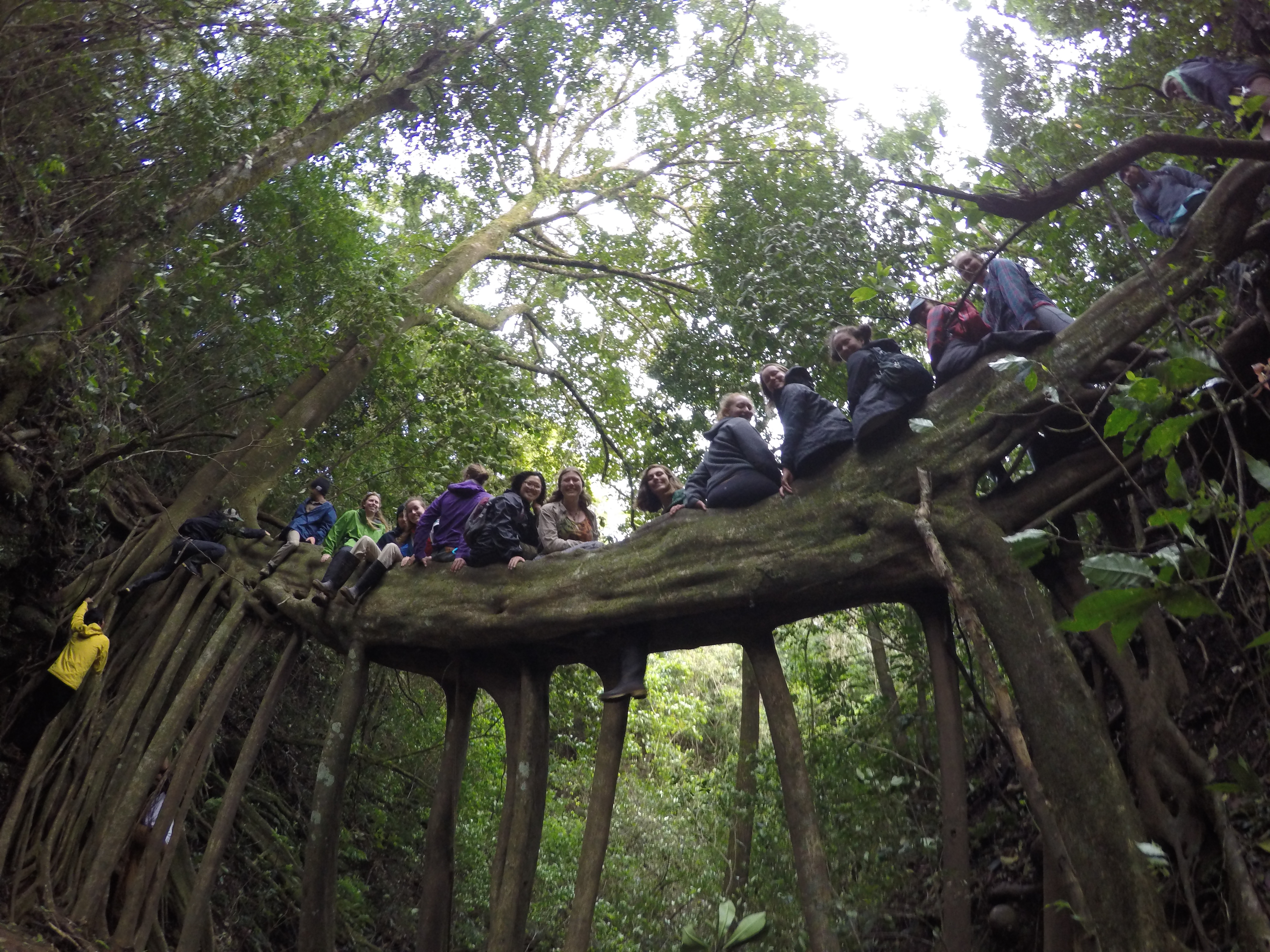 Students in Costa Rica