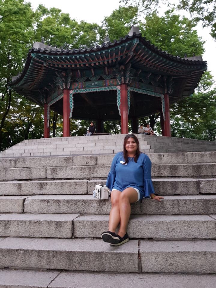 Seoul Tower adventure. This image was taken when UCEAP took us to Seoul Tower